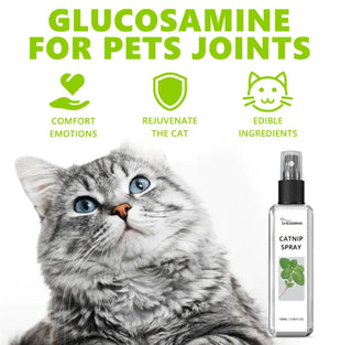 Pet Health Vitality Spray