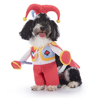 Funny Dog Costumes