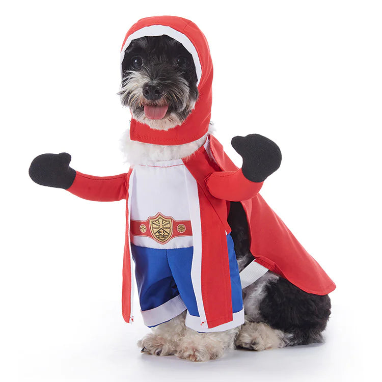 Funny Dog Costumes