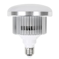 LED Fill Light