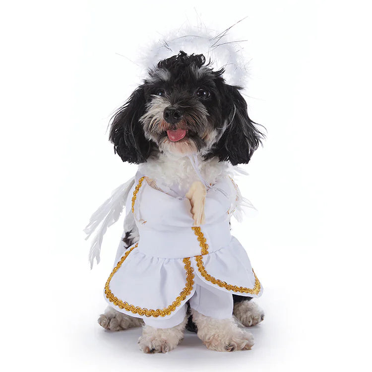 Funny Dog Costumes