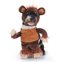 Funny Dog Costumes